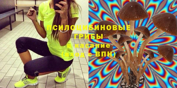 дживик Алексеевка