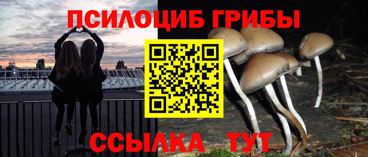 Псилоцибиновые грибы GOLDEN TEACHER Богородск