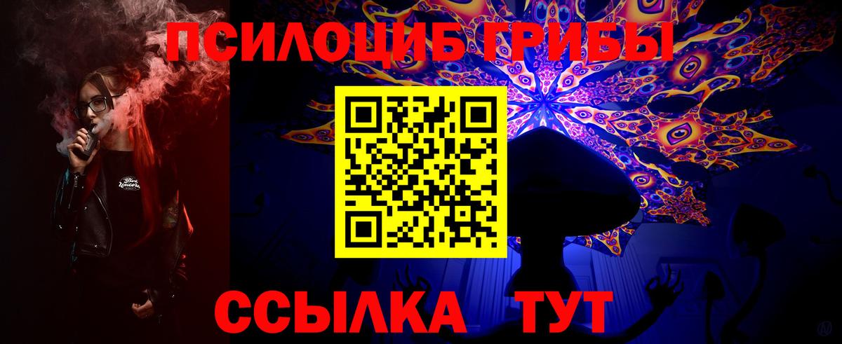 Богородск  Псилоцибиновые грибы Psilocybine cubensis  хочу наркоту  Вход с VPN 